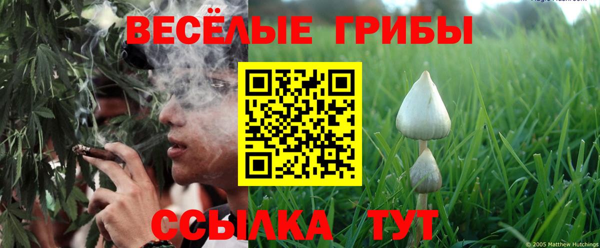 Полевской  Галлюциногенные грибы мухоморы  Вход с VPN 